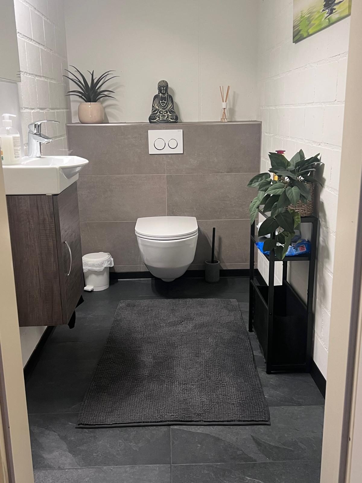 Frisch renoviertes Bad mit grauen Platten, neuem WC und Lavabo